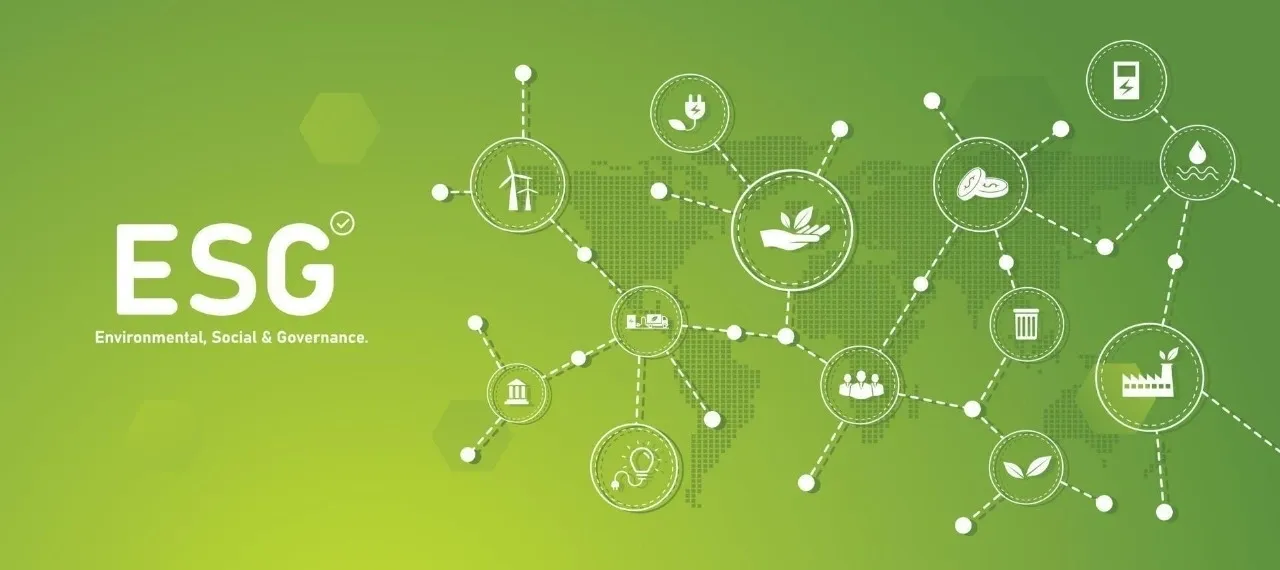 Understanding ESG: Why It Matters